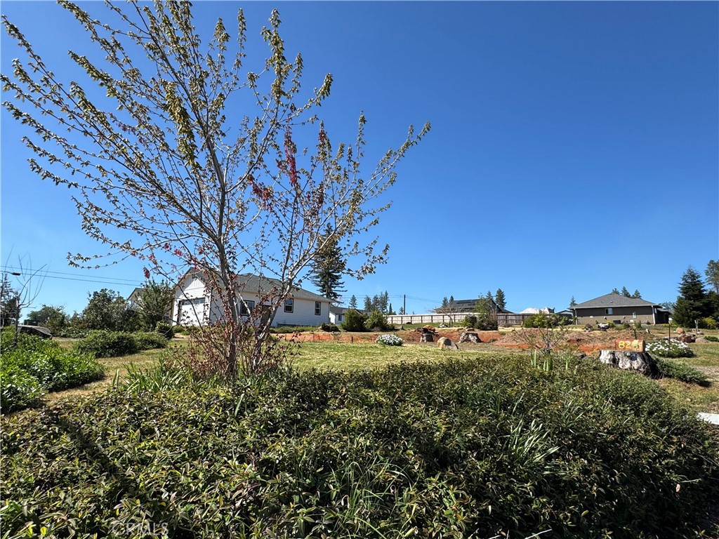 825 Bille Road Paradise, CA 95969 - Photo 2 of 7