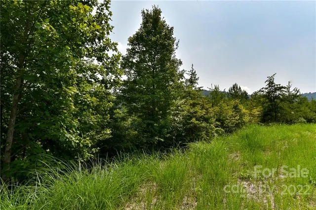 $25,000 | 113 Chardonnay Avenue, Unit 10, Marshall, NC 28753