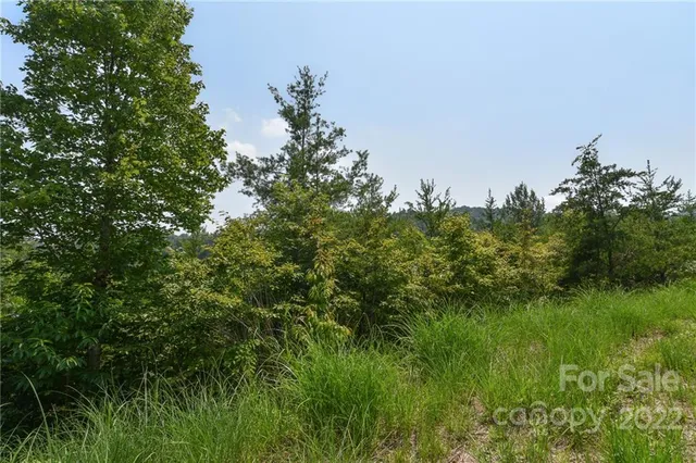 $25,000 | 113 Chardonnay Avenue, Unit 10, Marshall, NC 28753