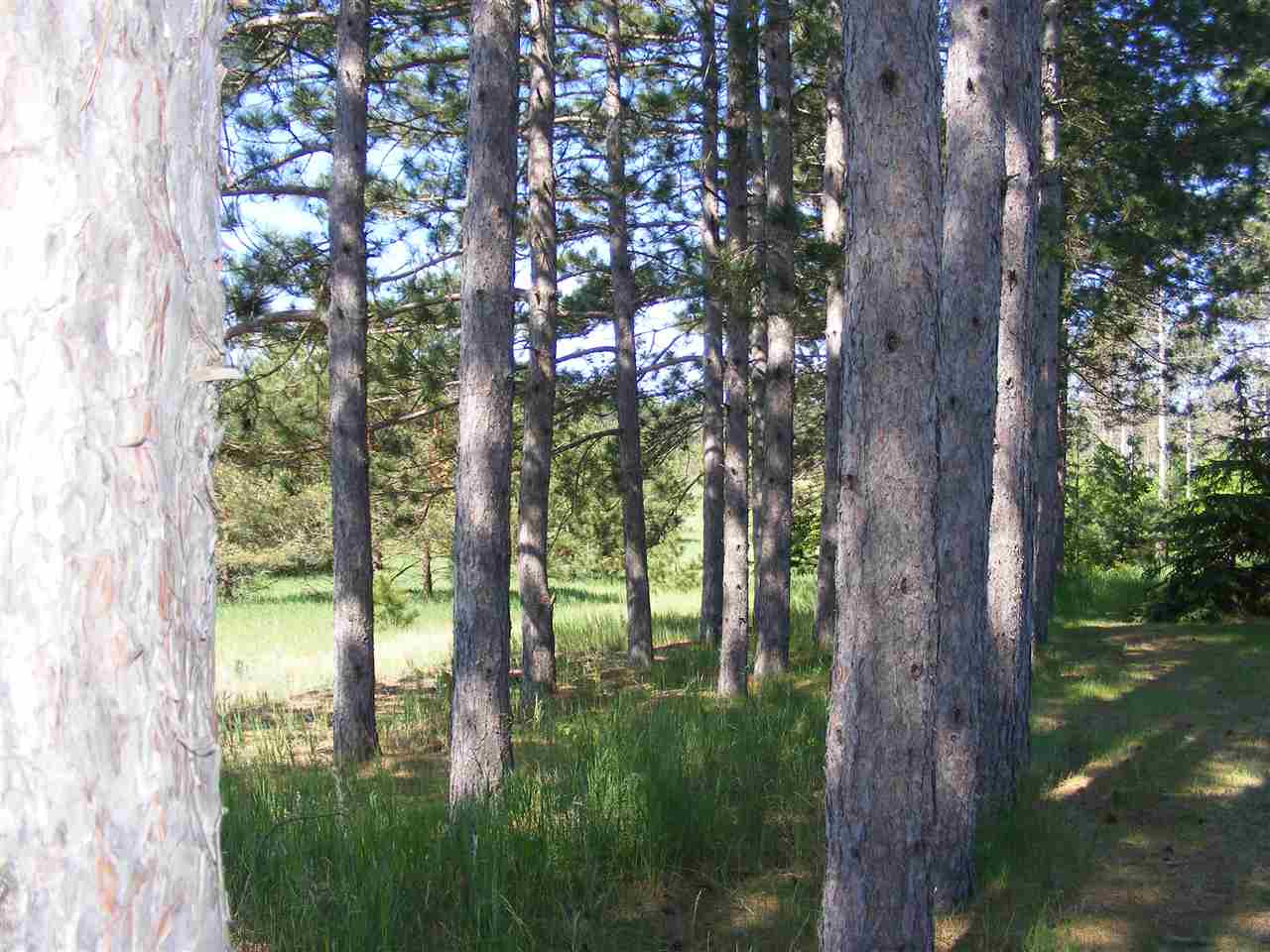 13674 Viaduct Road Copemish, MI 49625 - Photo 37 of 53 1862539-36.JPG