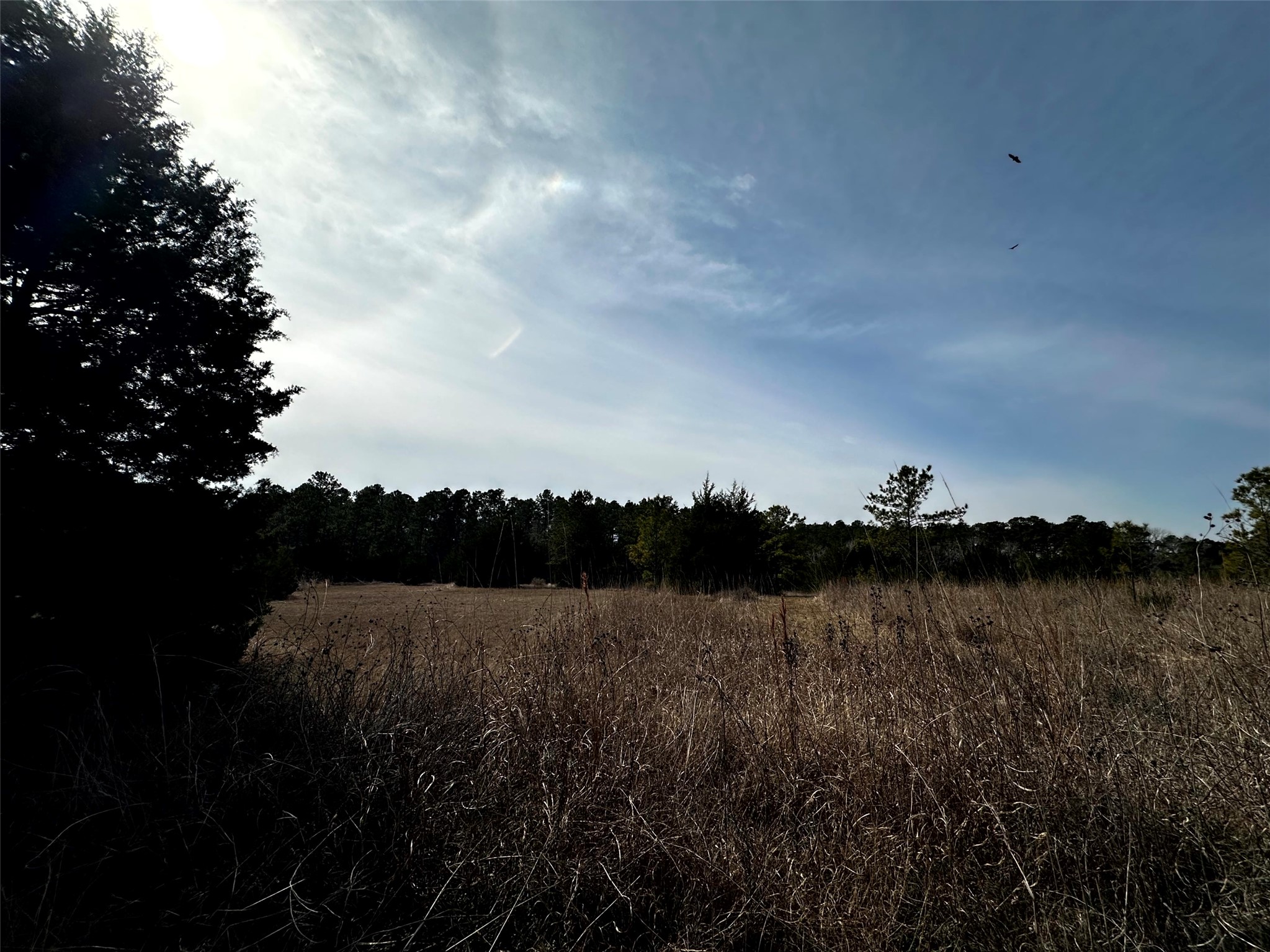 290 Over The Hl Road Point Blank, TX 77364 - Photo 14 of 17 Enjoy your land!