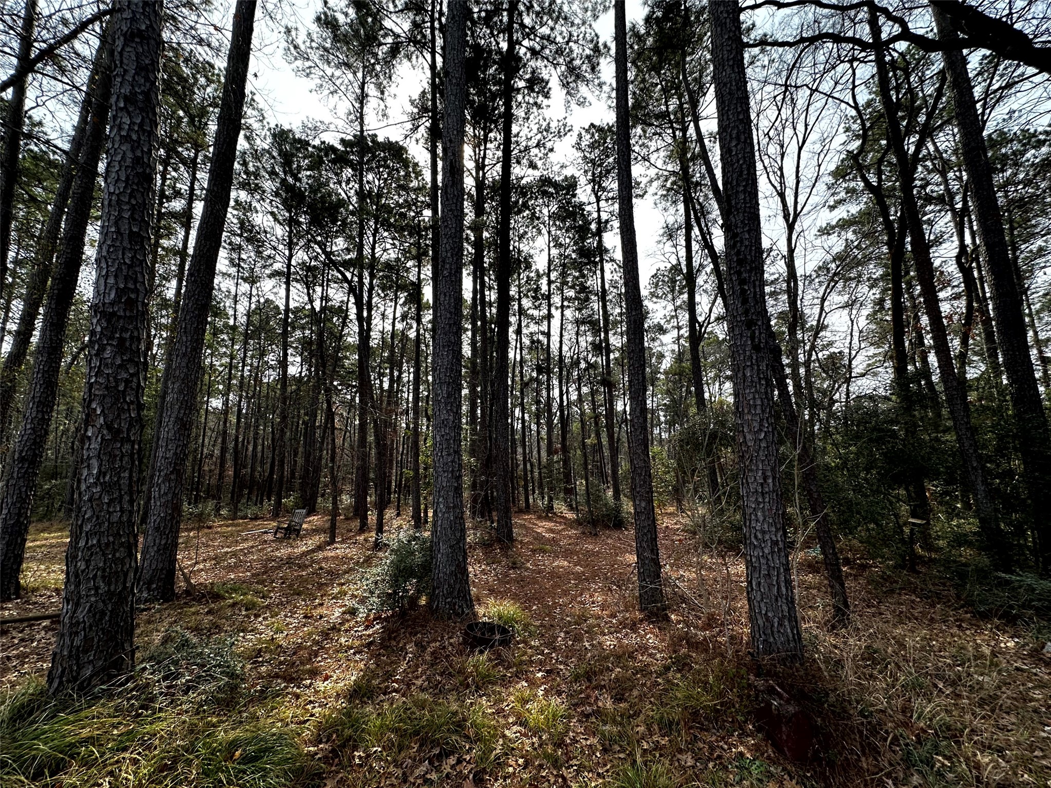 290 Over The Hl Road Point Blank, TX 77364 - Photo 10 of 17 This property borders Rocky Creek!