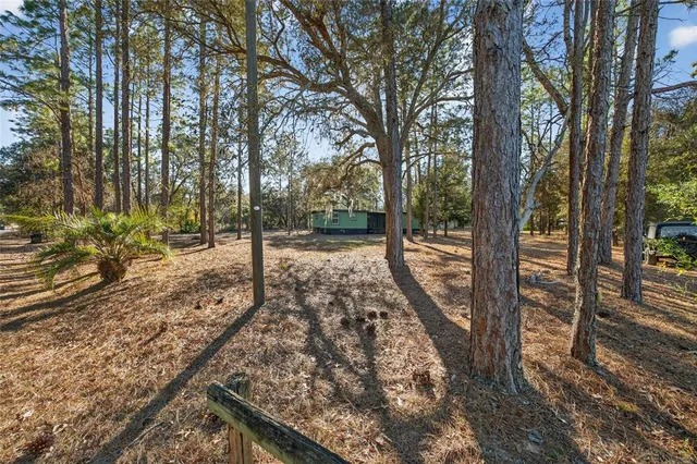 $1,150 | 7970 Northeast 110th Avenue, Bronson, FL 32621