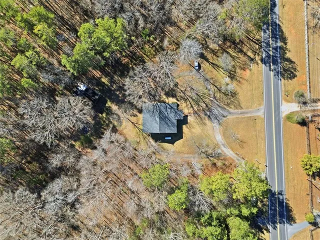 a view of a yard in a forest