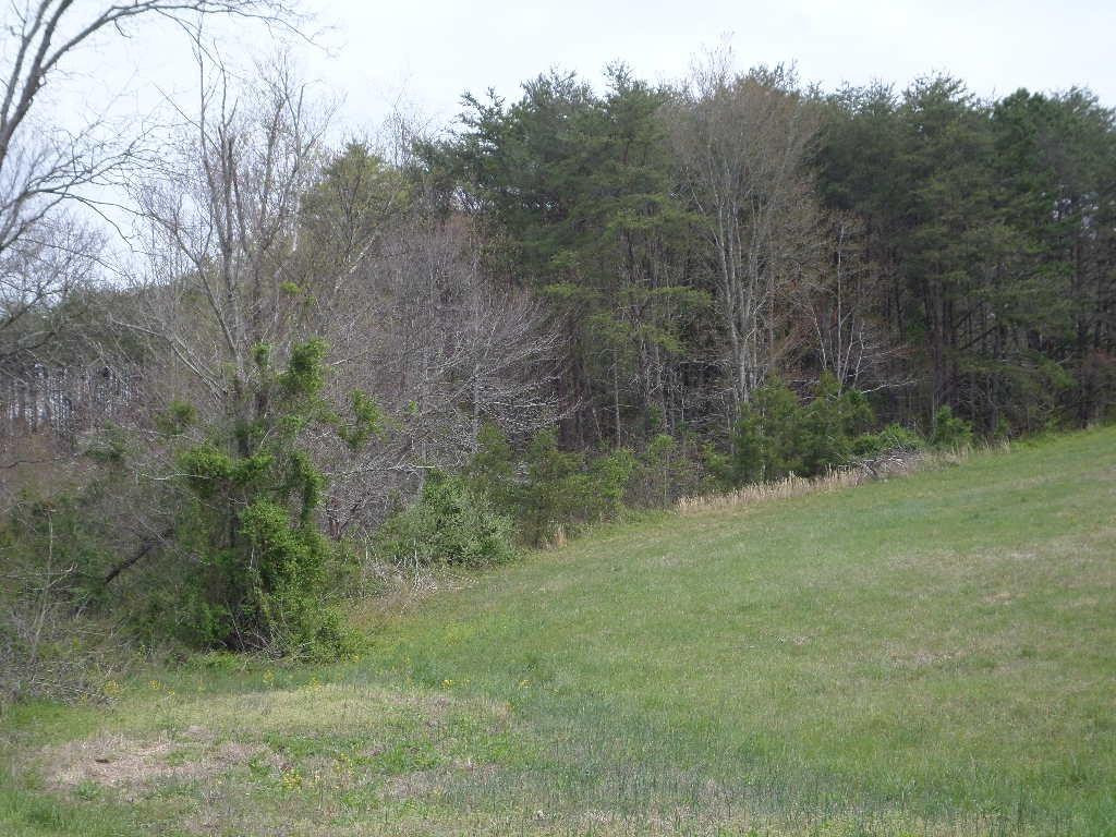 1 Rt 211 Salt Lick, KY 40371 - Photo 6 of 6 Photo 6