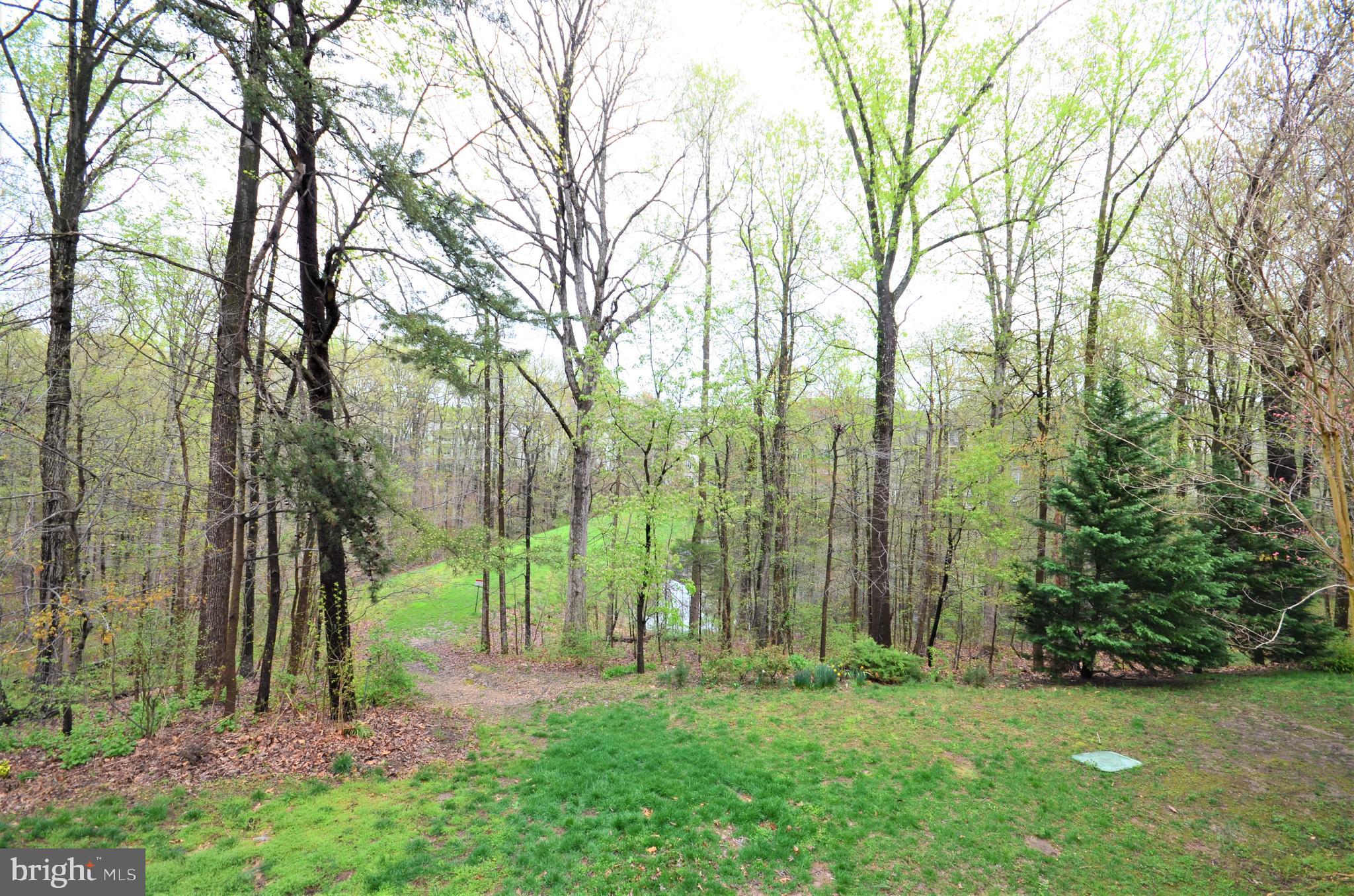 7721 Sullivan Circle Alexandria, VA 22315 - Photo 23 of 44