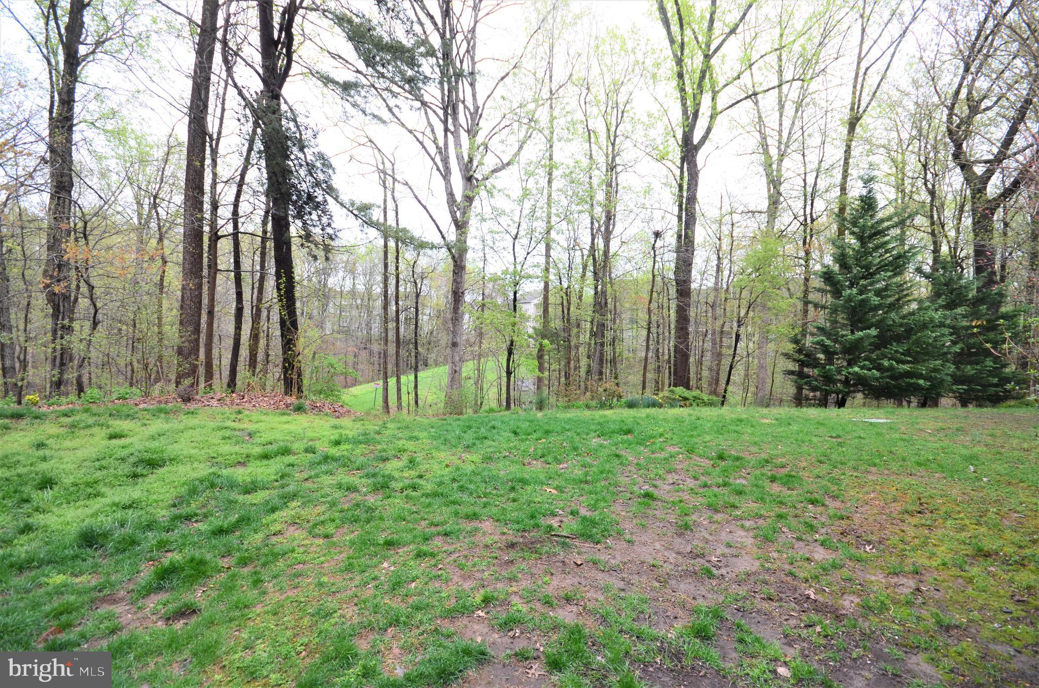 7721 Sullivan Circle Alexandria, VA 22315 - Photo 8 of 44