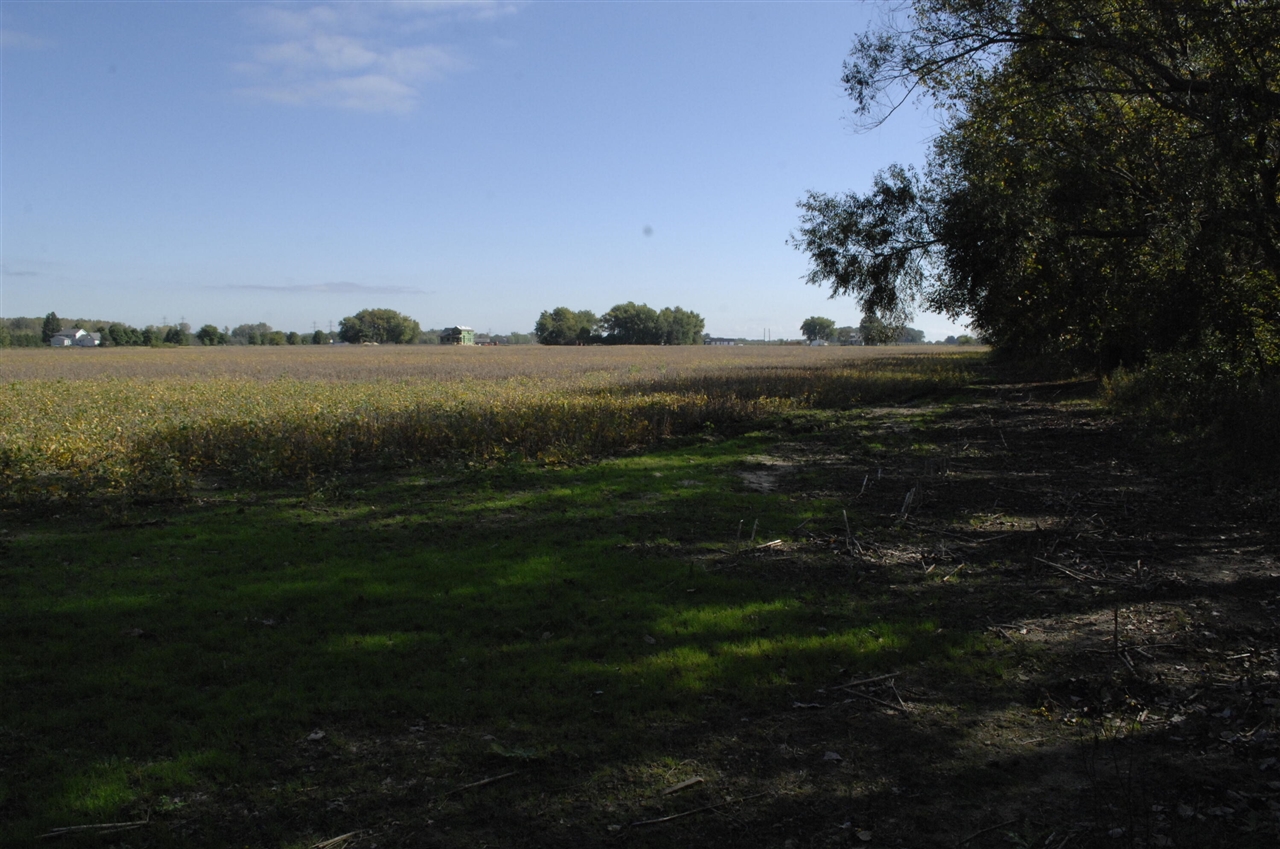 Holden Road Bridgman, MI 49106 - Photo 5 of 13 Gallery Image 5