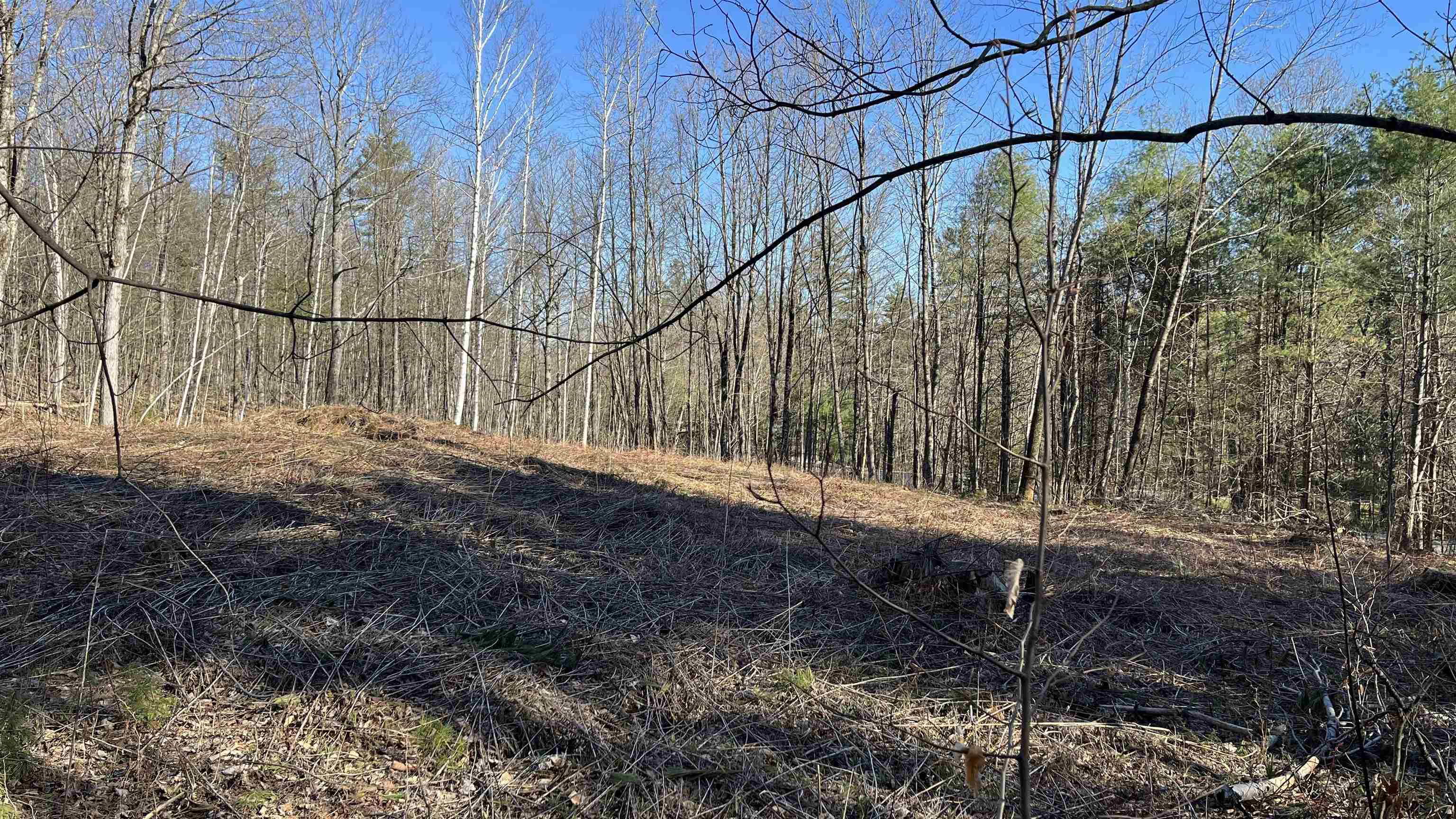 Dix Hill Road, Unit 23 Ludlow, VT 05149 - Photo 22 of 28