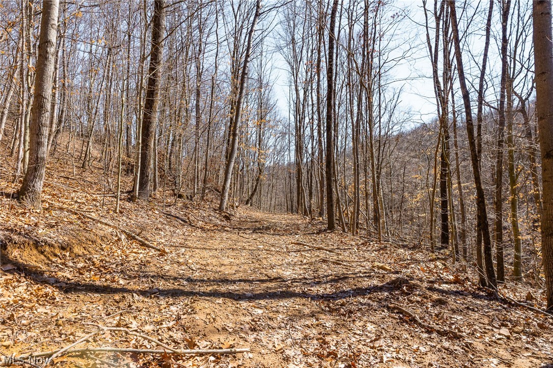 Sheepskin Ridge Road Lower Salem, OH 45745 - Photo 19 of 50 View of undeveloped land