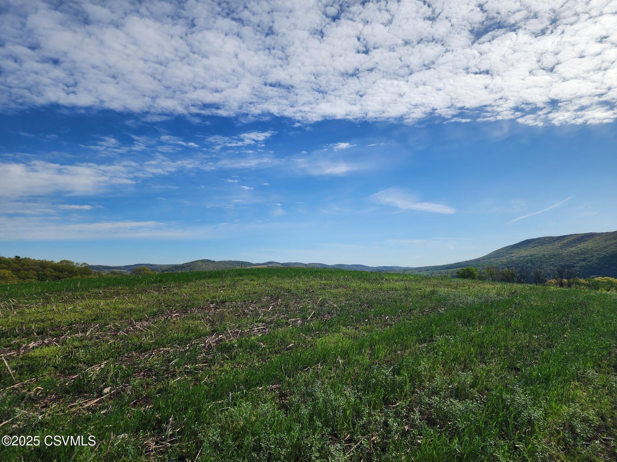 Roosters Rd Port Port Trevorton, PA 17864 - Photo 13 of 23