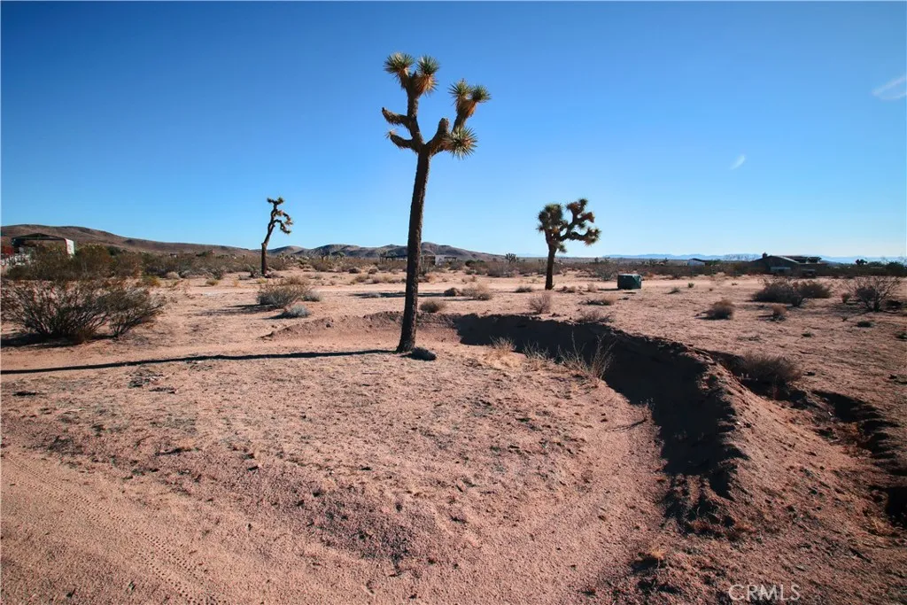 0 Olympic Road Joshua Tree, CA 92252 - Photo 19 of 24