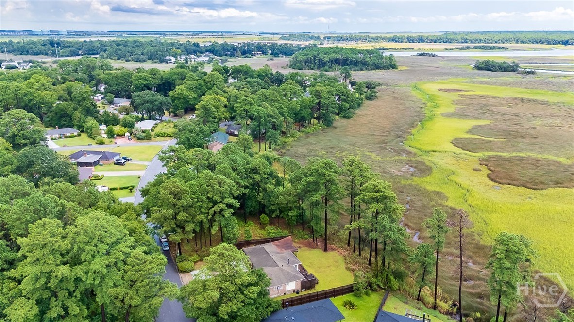 211 Runaway Point Road Savannah, GA 31404 - Photo 50 of 56 Aerial view of the property.