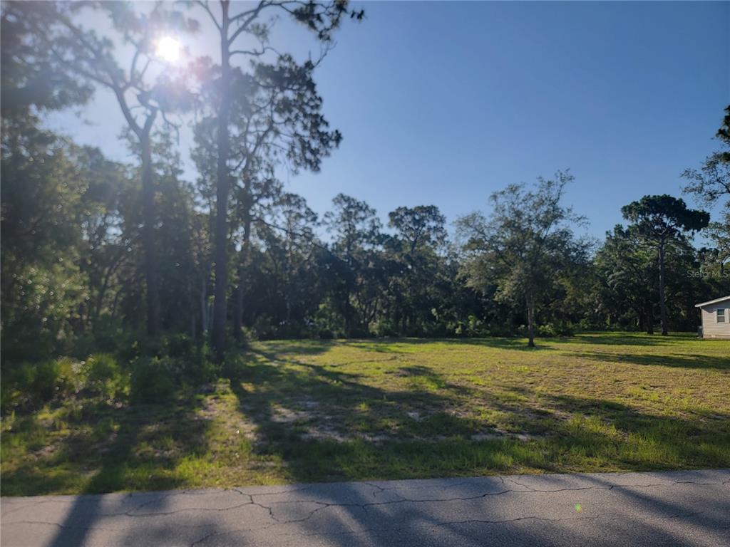 2075 South Colonial Avenue Homosassa, FL 34448 - Photo 4 of 5