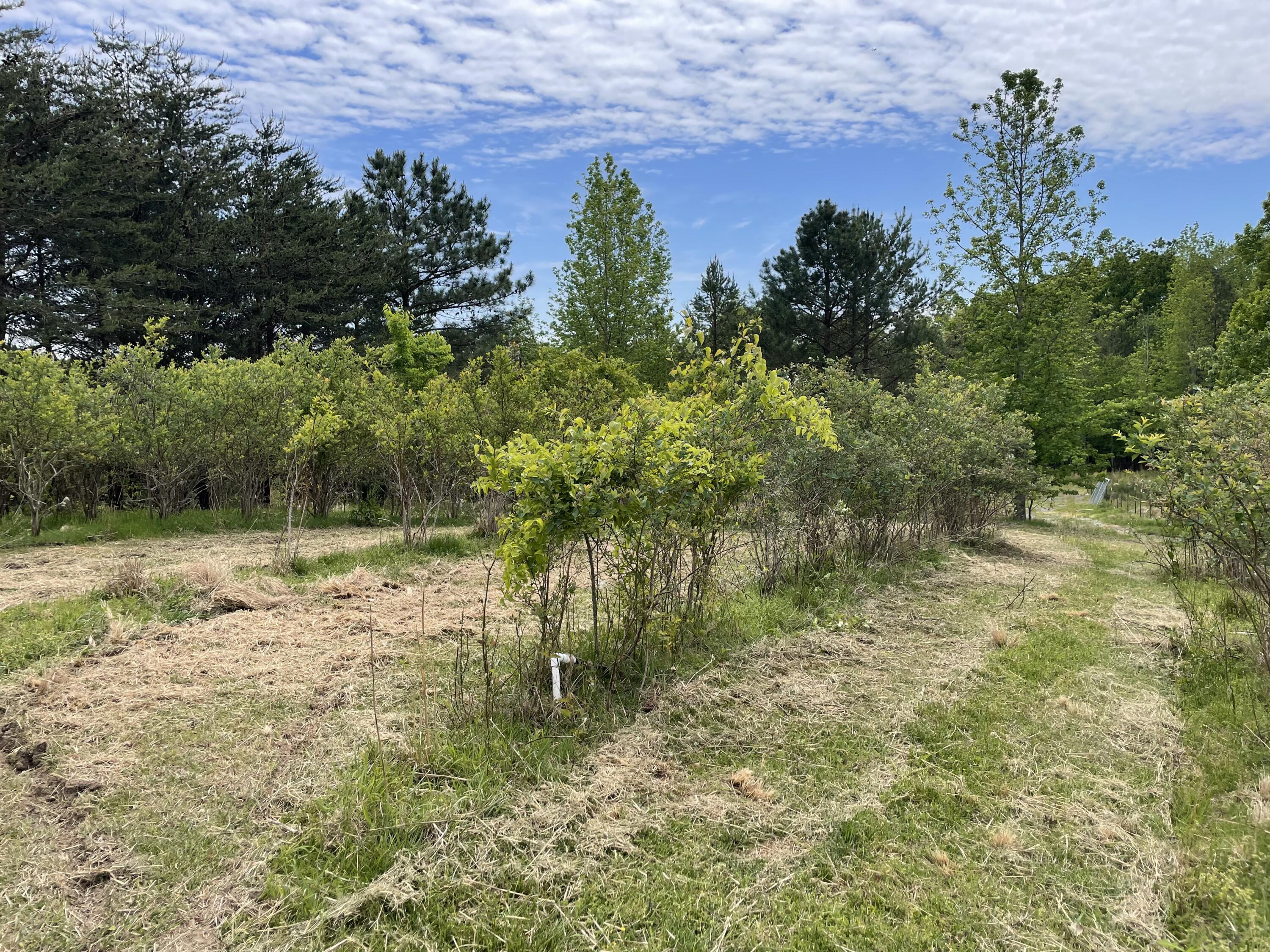 822 New Home Road Trenton, GA 30752 - Photo 54 of 89 IMG_8736