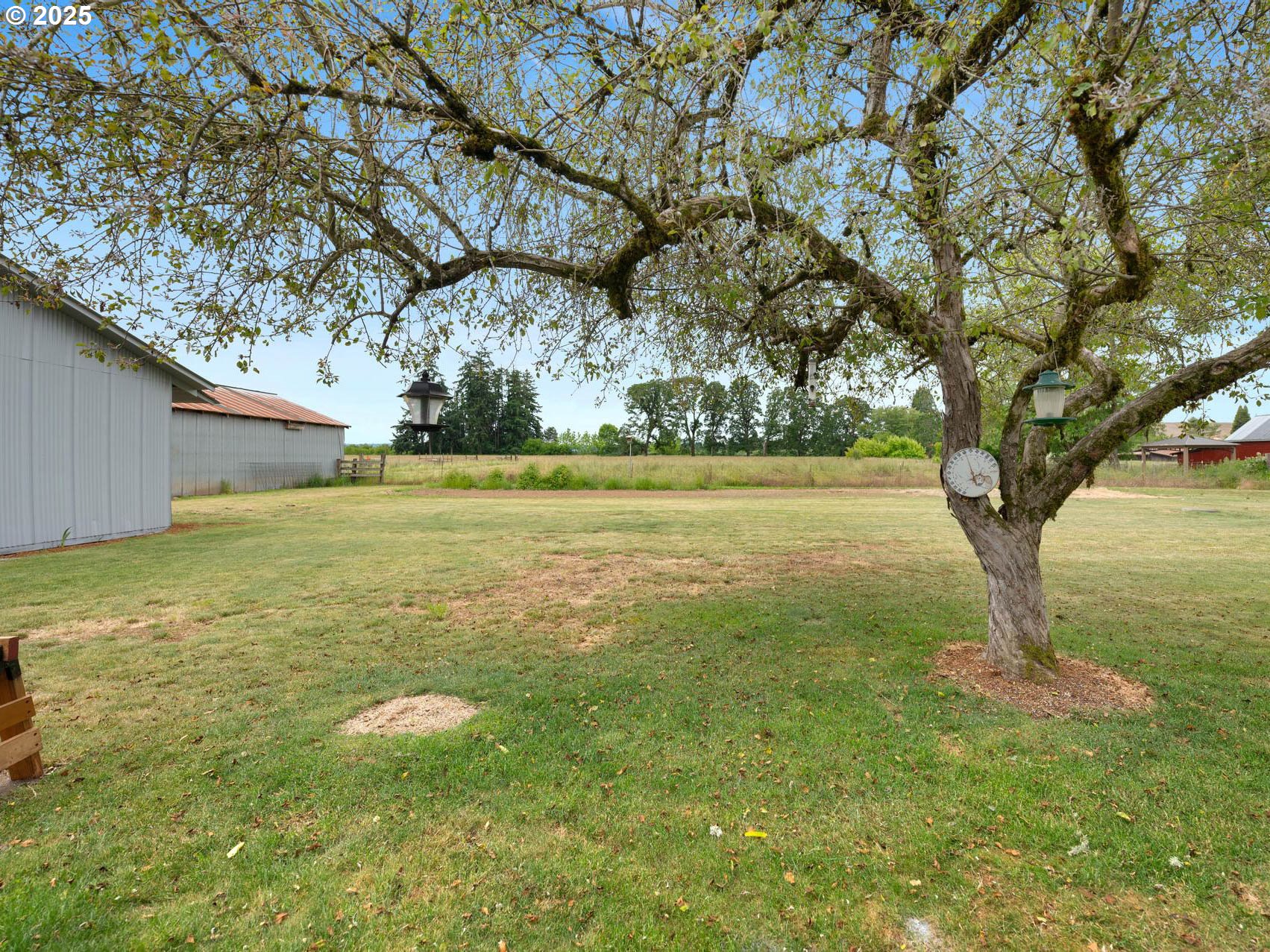 1540 Southeast Morgan Road Hillsboro, OR 97123 - Photo 36 of 48 Yard