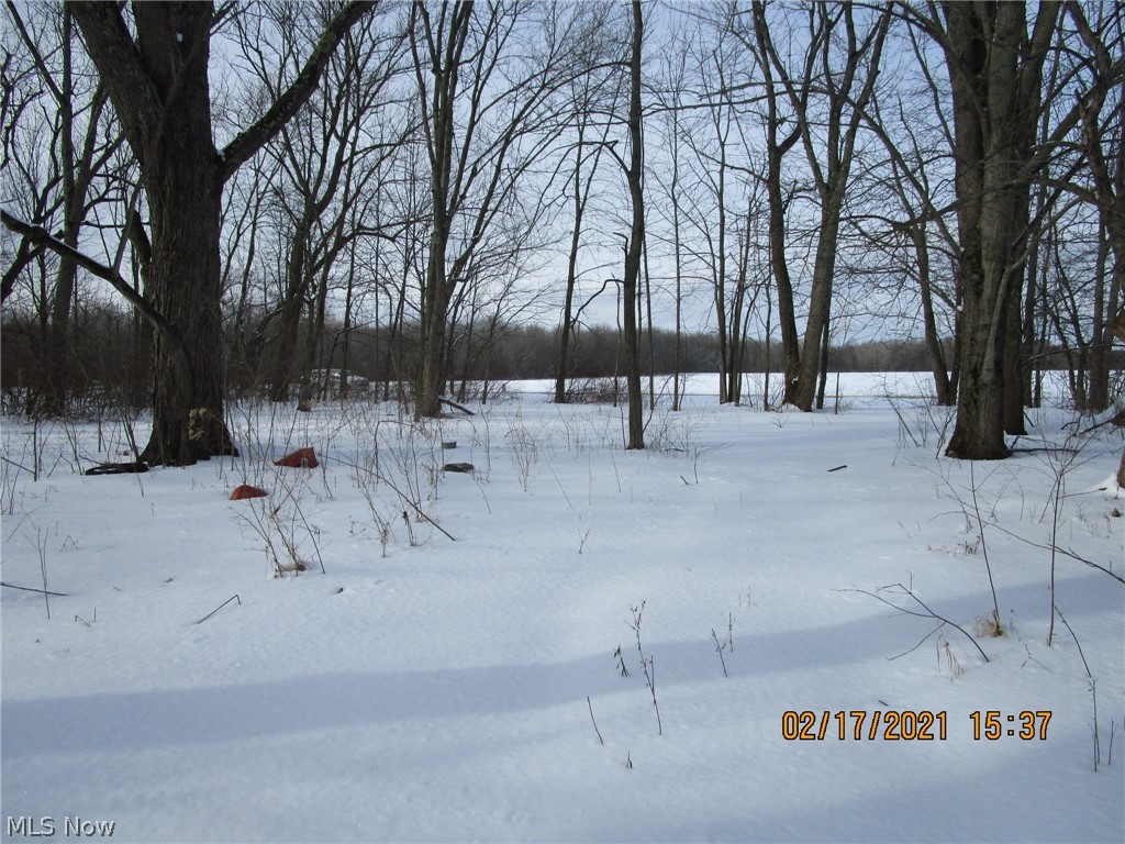 0 Allen-Comp Road Dorset, OH 44032 - Photo 1 of 9 Gallery Image 1