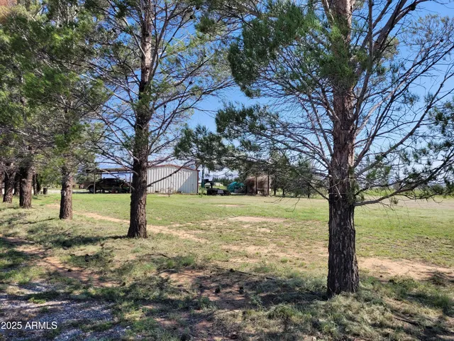 a view of a yard with trees