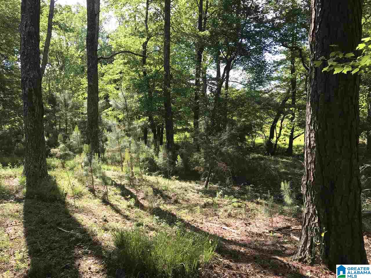 0 Steele Gap Road North, Unit 11 4 Steele, AL 35987 - Photo 19 of 26