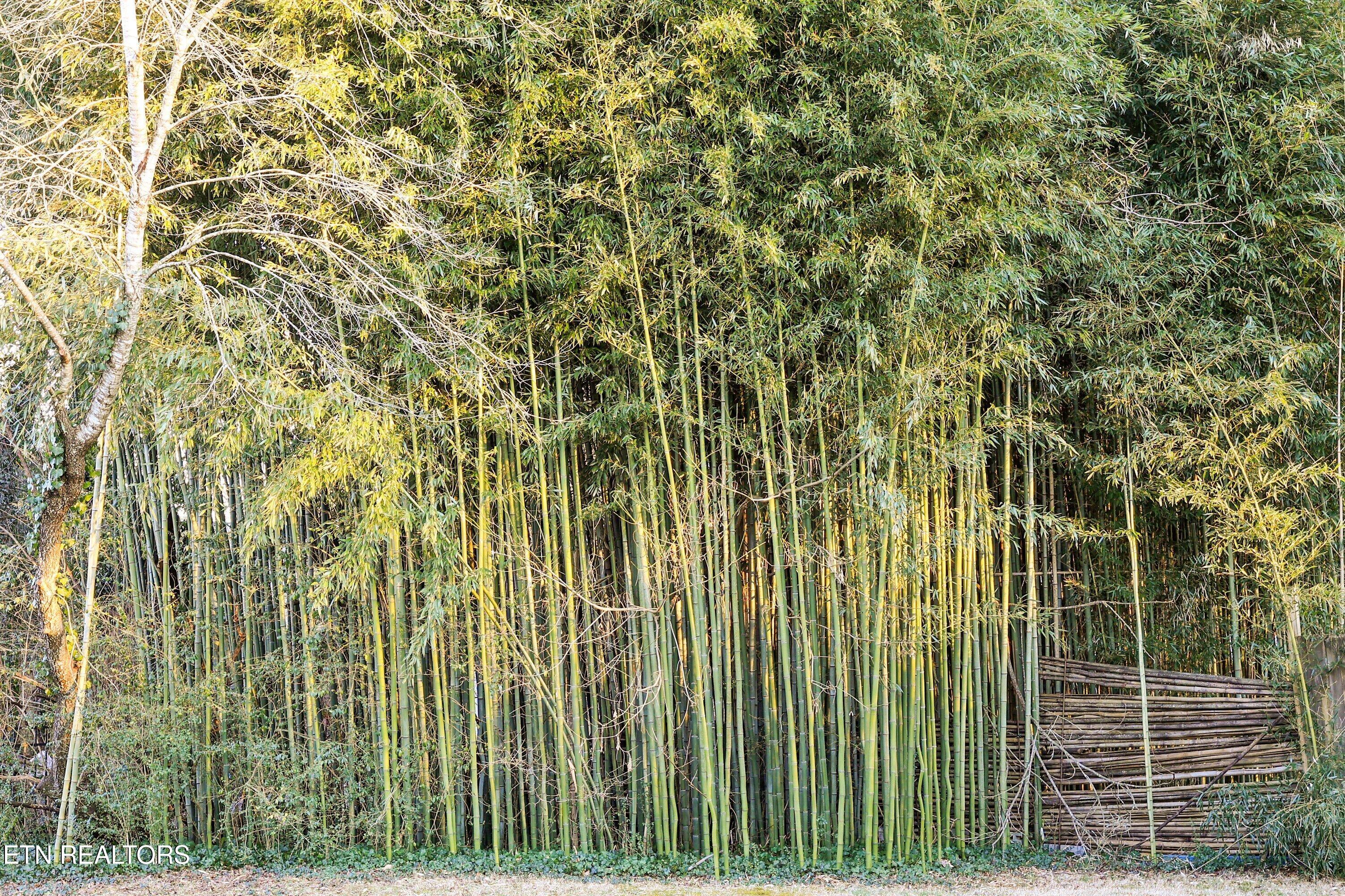 4912 Spring Creek Road Knoxville, TN 37920 - Photo 35 of 40 4912 Spring Creek39