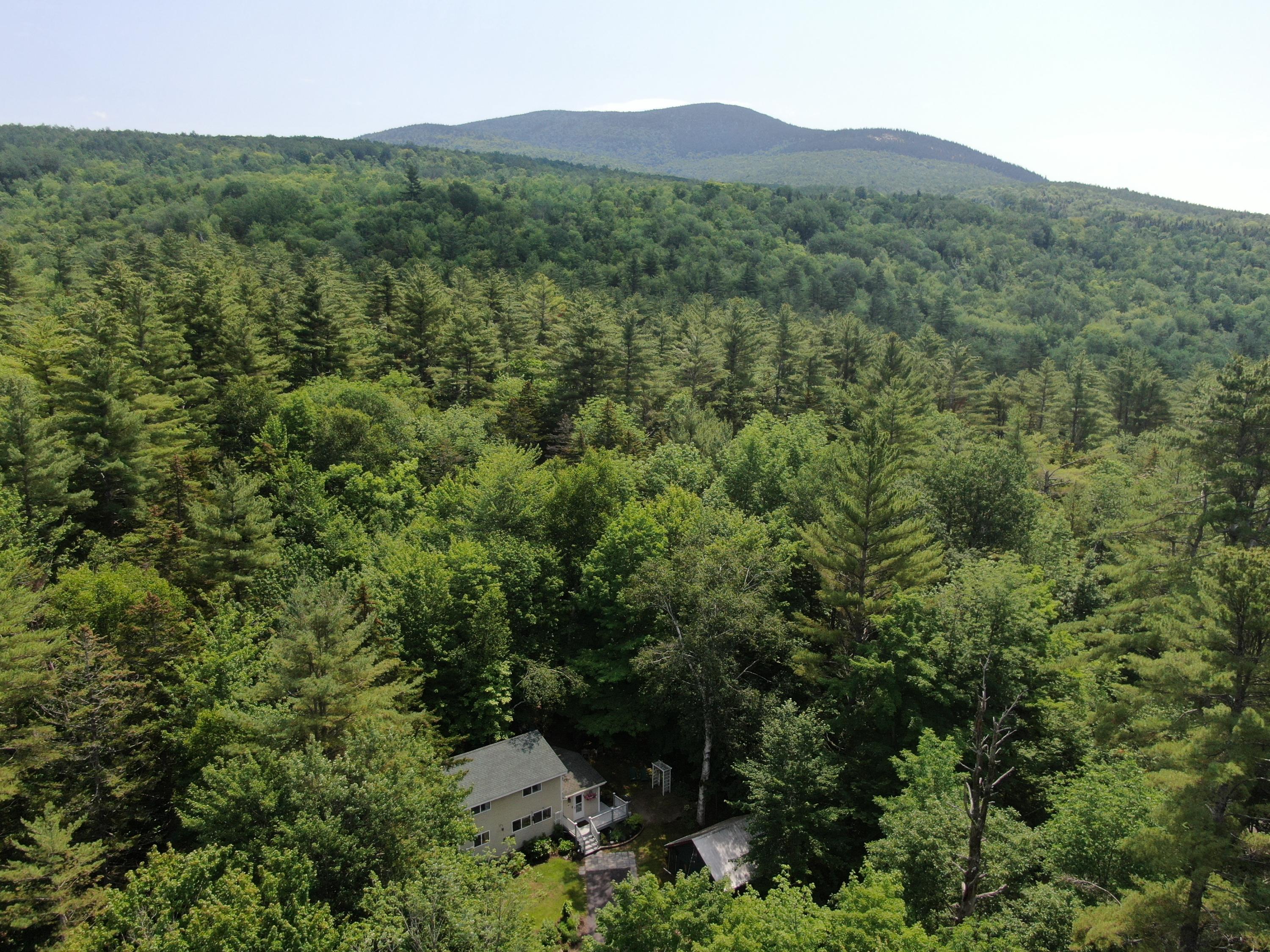 215 Branch Road Newry, ME 04261 - Photo 25 of 36 Private surroundings