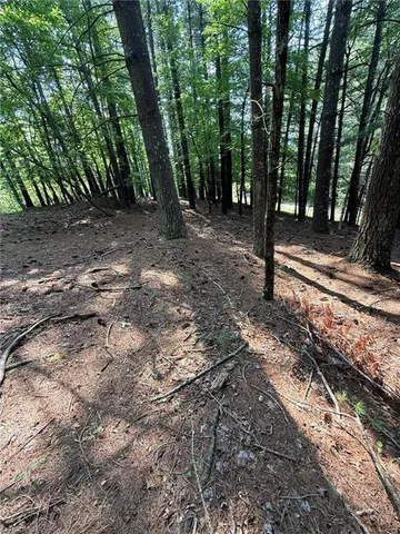 $35,800 | Lot 33 Jonathan Drive, Lowgap, NC 27024