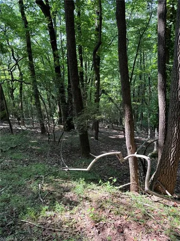 $35,800 | Lot 33 Jonathan Drive, Lowgap, NC 27024