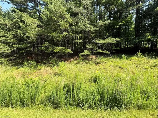 $35,800 | Lot 33 Jonathan Drive, Lowgap, NC 27024