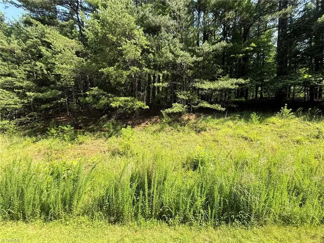 $35,800 | Lot 33 Jonathan Drive, Lowgap, NC 27024
