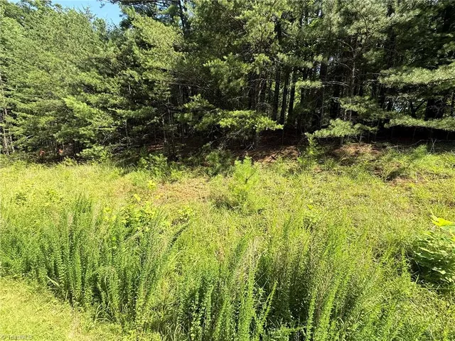$35,800 | Lot 33 Jonathan Drive, Lowgap, NC 27024