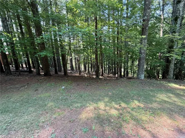 $35,800 | Lot 33 Jonathan Drive, Lowgap, NC 27024