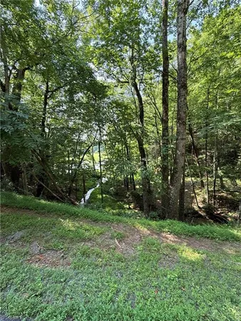 $35,800 | Lot 33 Jonathan Drive, Lowgap, NC 27024