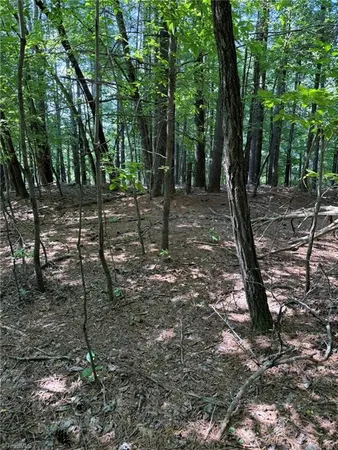 $35,800 | Lot 33 Jonathan Drive, Lowgap, NC 27024
