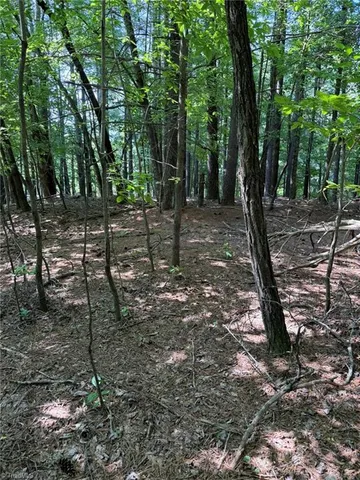 $35,800 | Lot 33 Jonathan Drive, Lowgap, NC 27024