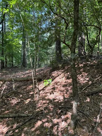 $35,800 | Lot 33 Jonathan Drive, Lowgap, NC 27024