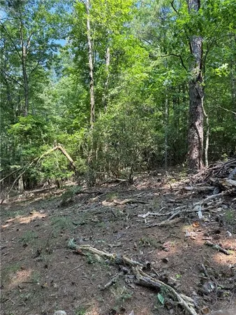 $35,800 | Lot 33 Jonathan Drive, Lowgap, NC 27024