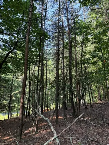 $35,800 | Lot 33 Jonathan Drive, Lowgap, NC 27024