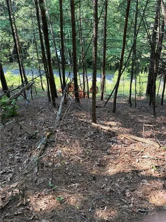 $35,800 | Lot 33 Jonathan Drive, Lowgap, NC 27024