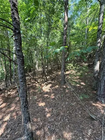 $35,800 | Lot 33 Jonathan Drive, Lowgap, NC 27024