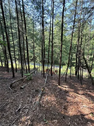$35,800 | Lot 33 Jonathan Drive, Lowgap, NC 27024