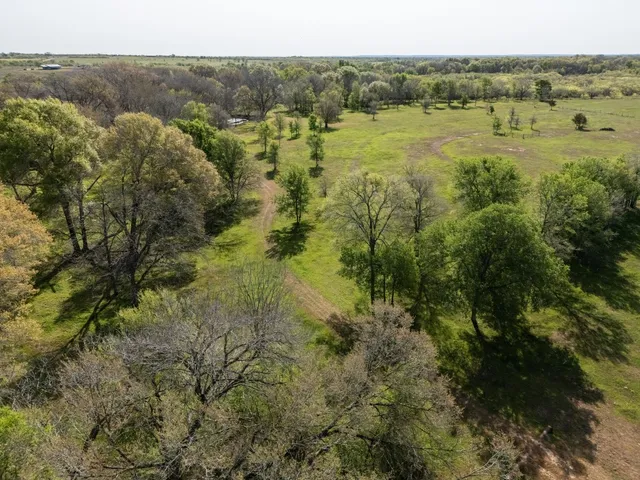 a view of a field with tree s