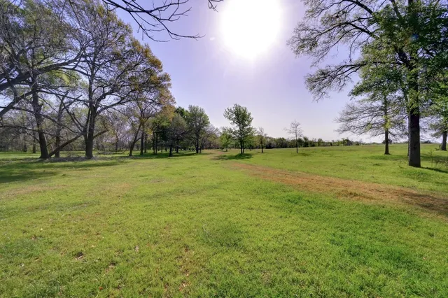 a view of a park with large trees