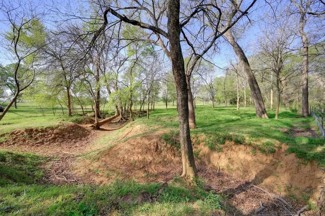 a view of a field with tree in the background