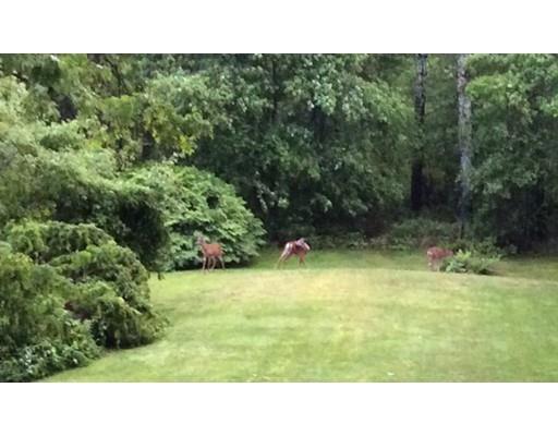 72 Marion Road Mattapoisett, MA 02739 - Photo 28 of 28 Gallery Image 28