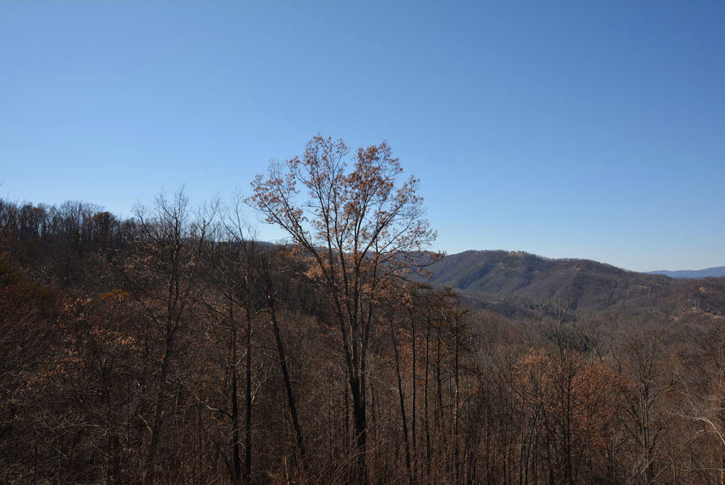 1114 East Kings Ridge Road Gatlinburg, TN 37738 - Photo 2 of 10 B