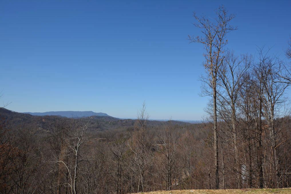 1114 East Kings Ridge Road Gatlinburg, TN 37738 - Photo 3 of 10 C