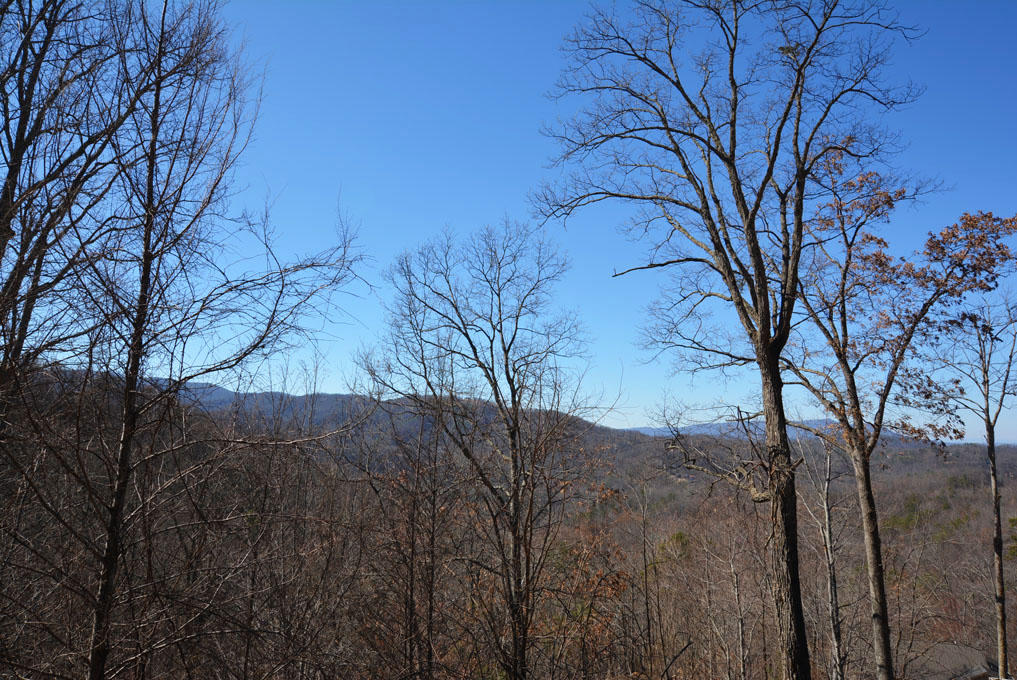 1114 East Kings Ridge Road Gatlinburg, TN 37738 - Photo 6 of 10 F