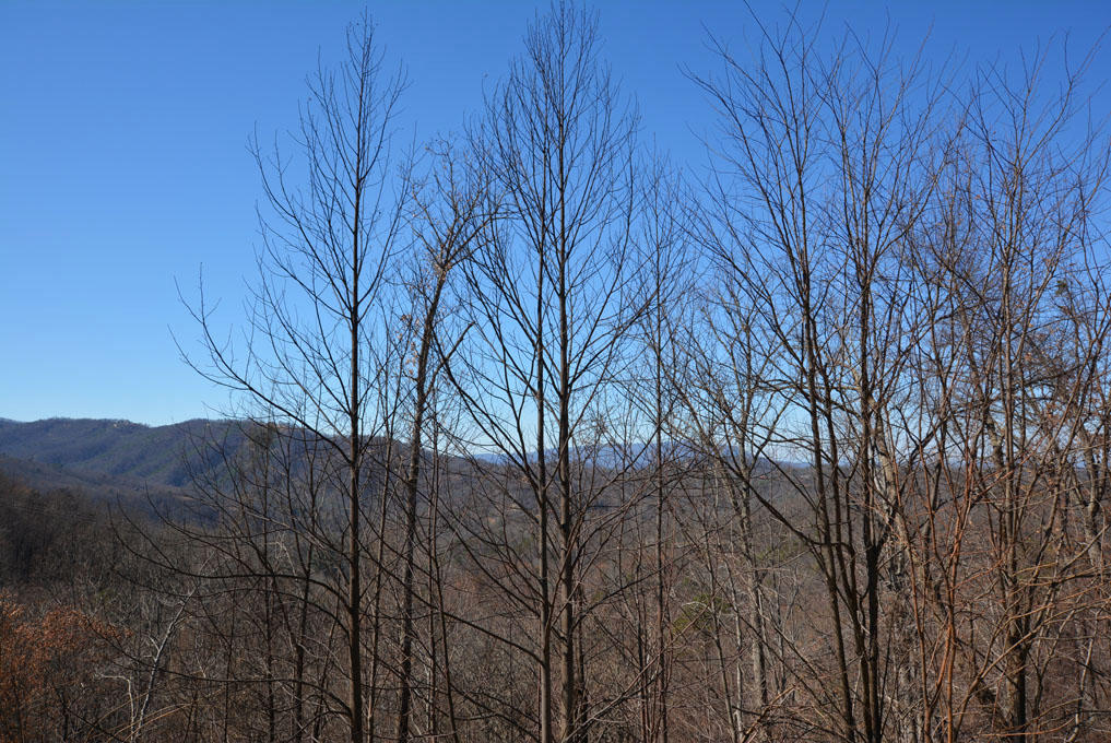 1114 East Kings Ridge Road Gatlinburg, TN 37738 - Photo 7 of 10 G
