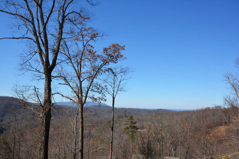 1114 East Kings Ridge Road Gatlinburg, TN 37738 - Photo 8 of 10 H