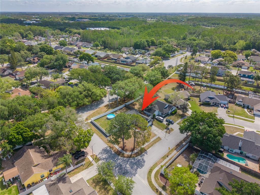 7532 Turtlebrook Lane New Port Richey, FL 34655 - Photo 34 of 38